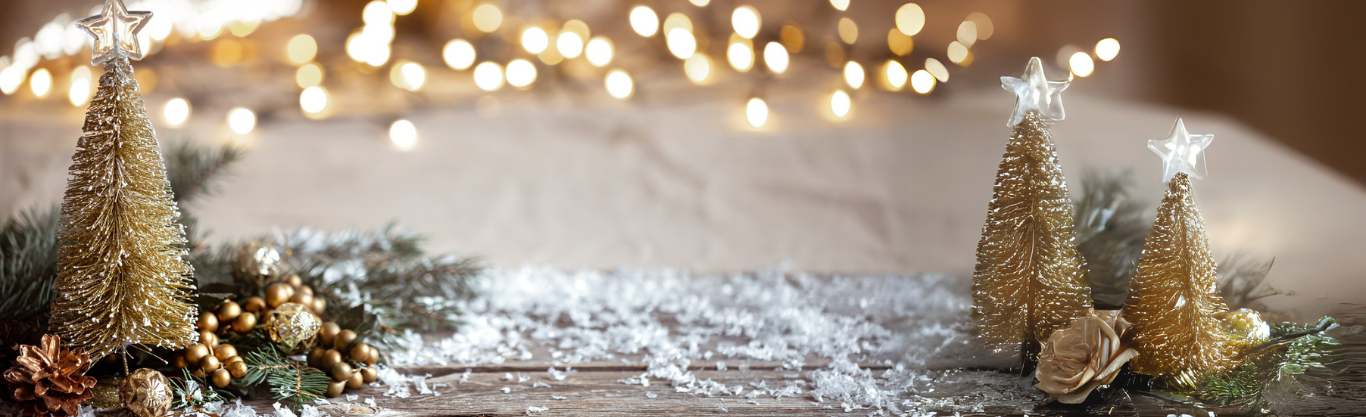 Buone Feste dal San Camillo