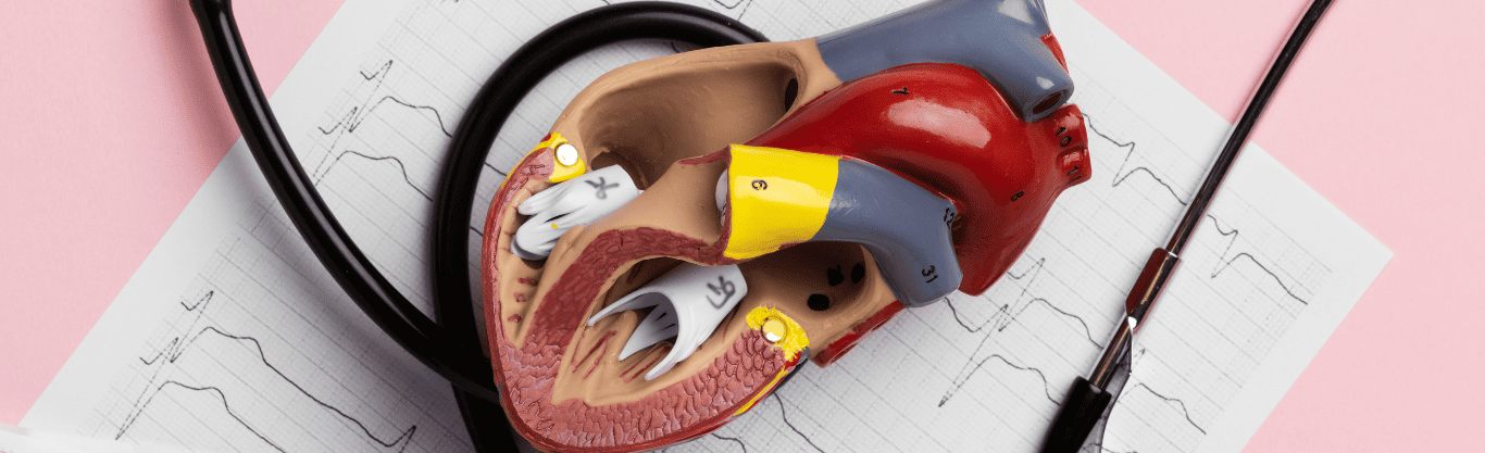 LDL ossidate (oxLDL): cosa sono, perché contano davvero e come ridurle