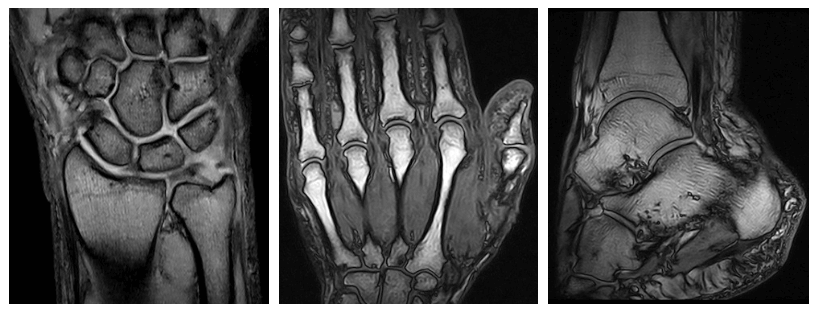 Diagnostica per immagini - Gli specialisti